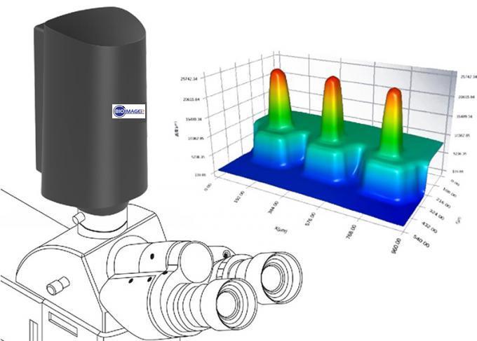 3D Profiler