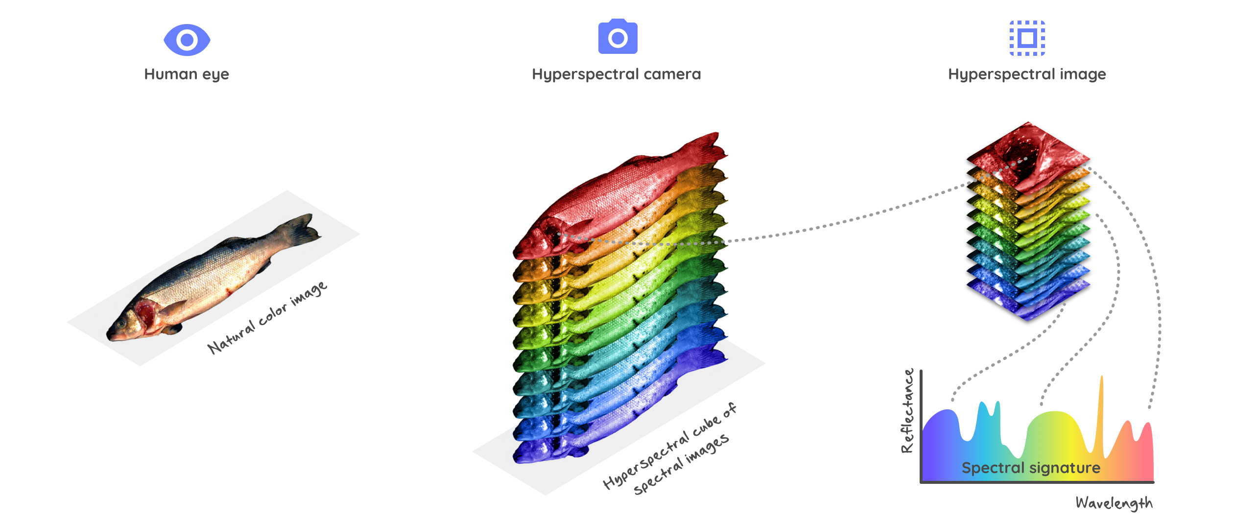 Hyperspectral