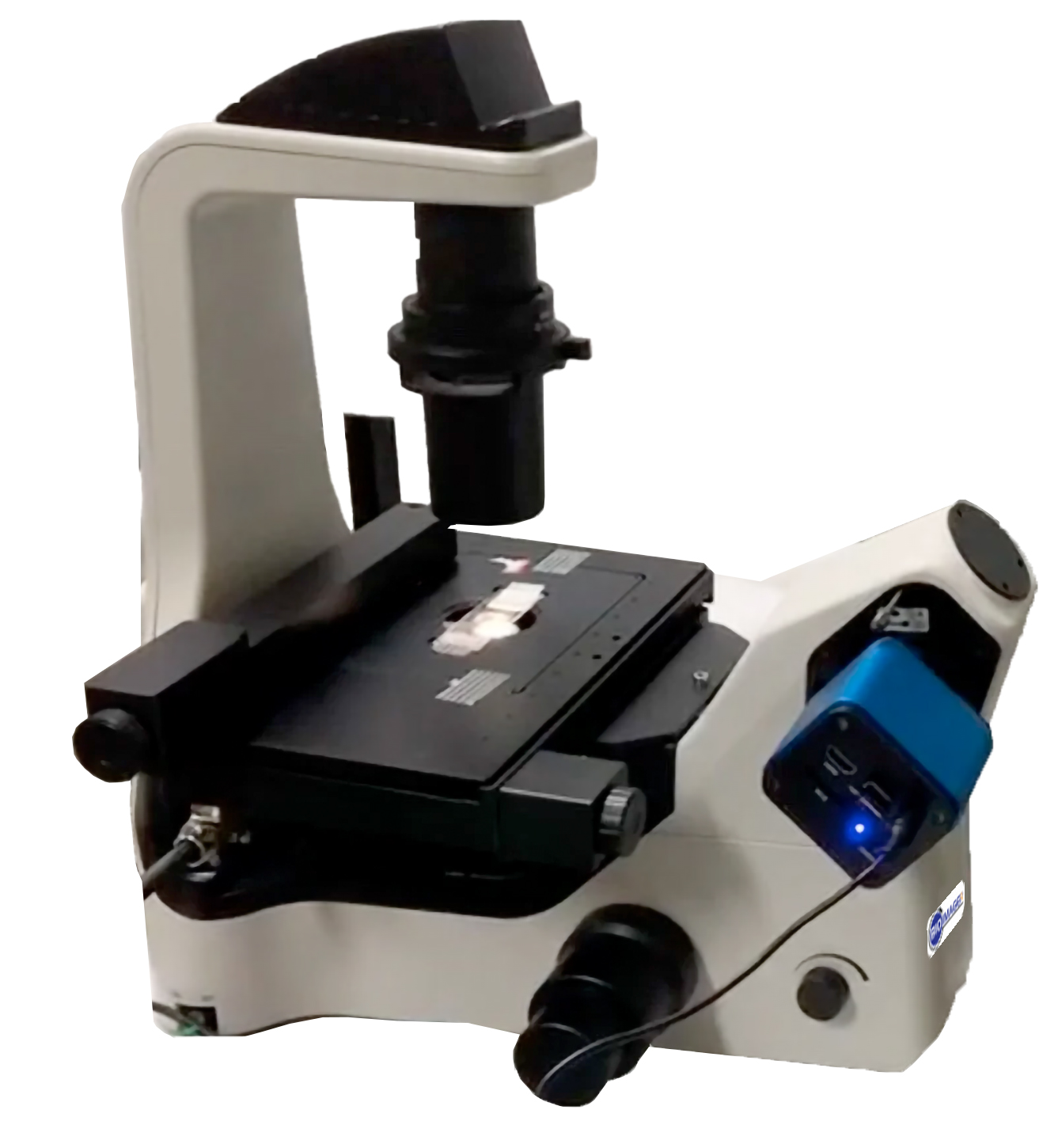 Biological Fluorescence Microscope