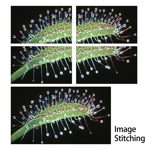 BioStitch-500 Live Image Stitching - Digital Slide Scanning Software with Free Camera
