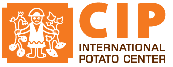 cip international potato center