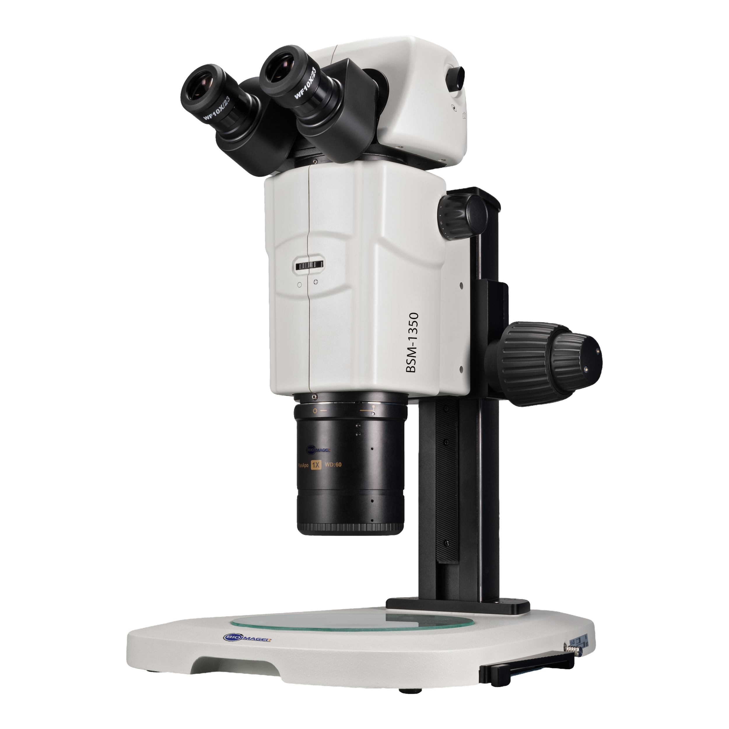 Stereo Microscopes