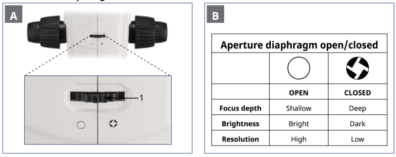 BSM1350 Stereo Microscope with 18:1 Zoom Ratio and OIC Imaging - Image 13