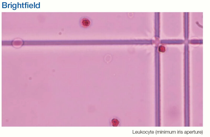 OLYMPUS CX33 Biological Microscope - Image 16