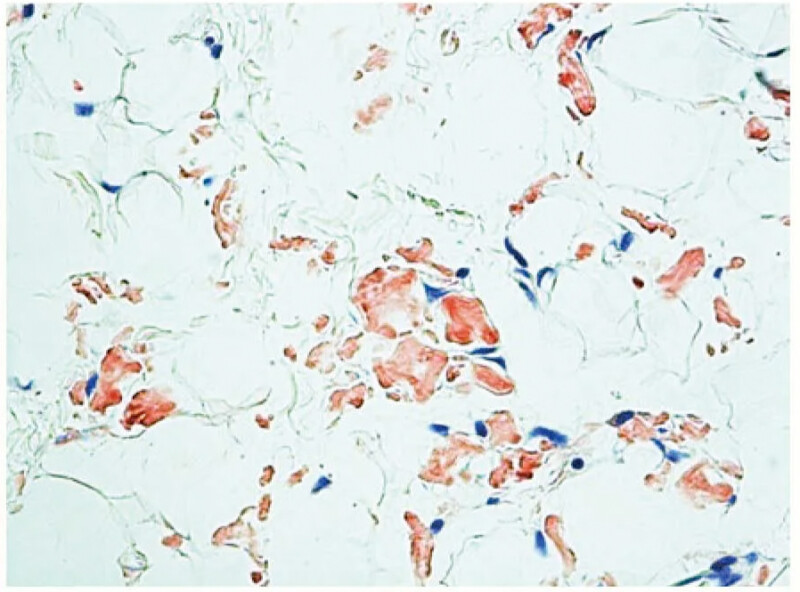 OLYMPUS CX33 Biological Microscope - Image 12
