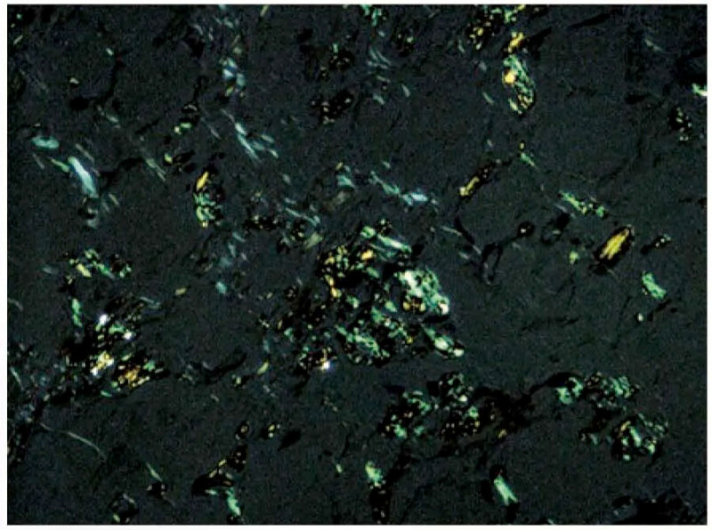 OLYMPUS CX33 Biological Microscope - Image 10
