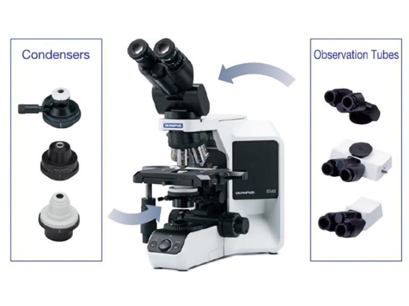 Olympus BX43 Biological Microscope