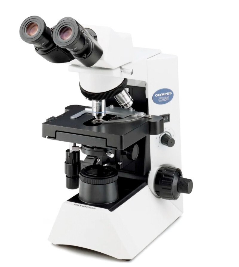 OLYMPUS CX31 Biological Microscope