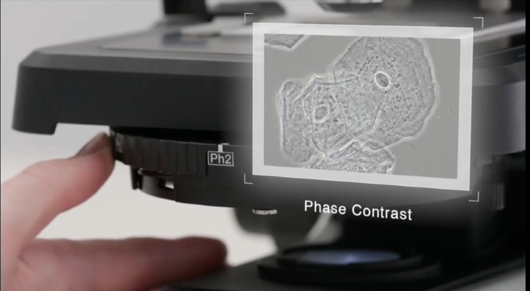 OLYMPUS CX43 Biological Microscope | Bioimager OLYMPUS CX43 Biological Microscope | Bioimager