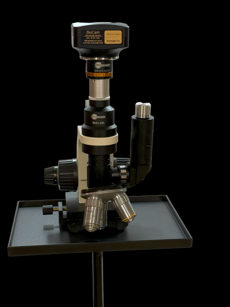 BMU250 Compact Portable Metallurgical Microscope