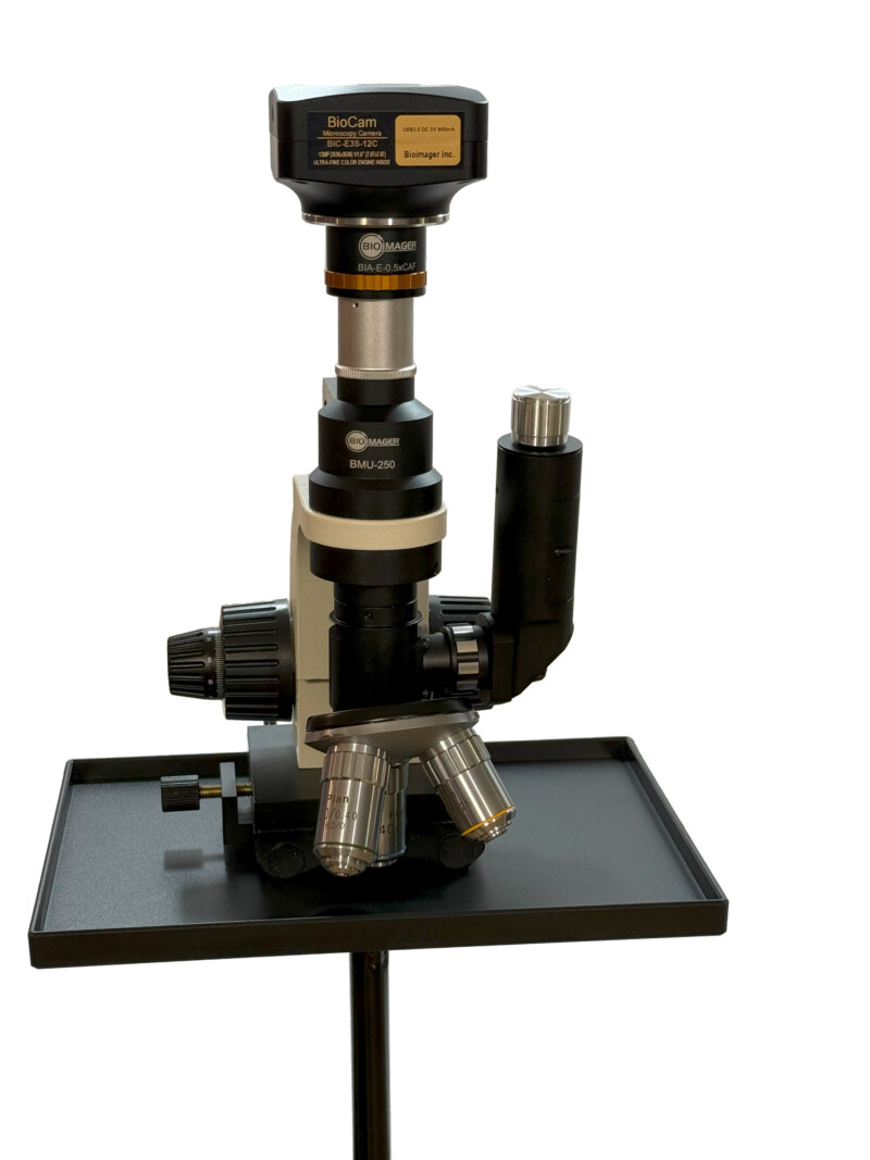 BMU250 Compact Portable Metallurgical Microscope