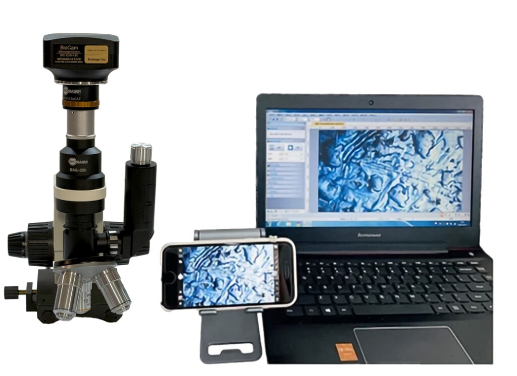 BMU250 Compact Portable Metallurgical Microscope