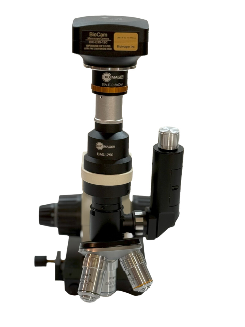 BMU250 Compact Portable Metallurgical Microscope