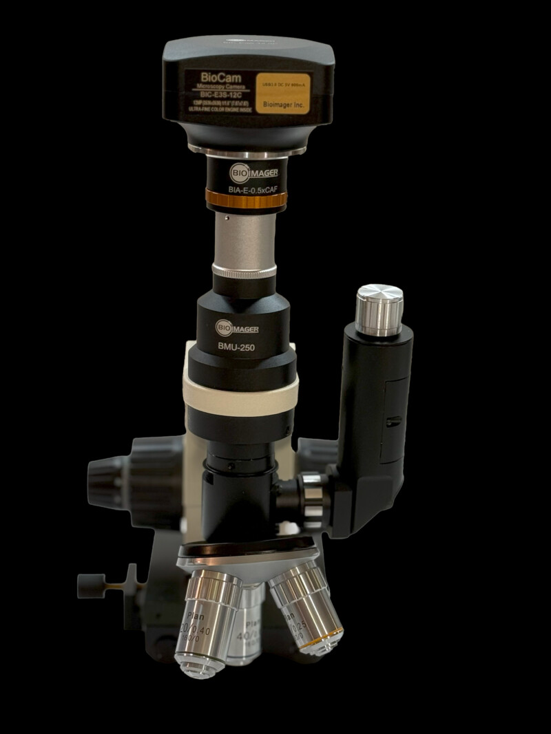 BMU250 Compact Portable Metallurgical Microscope