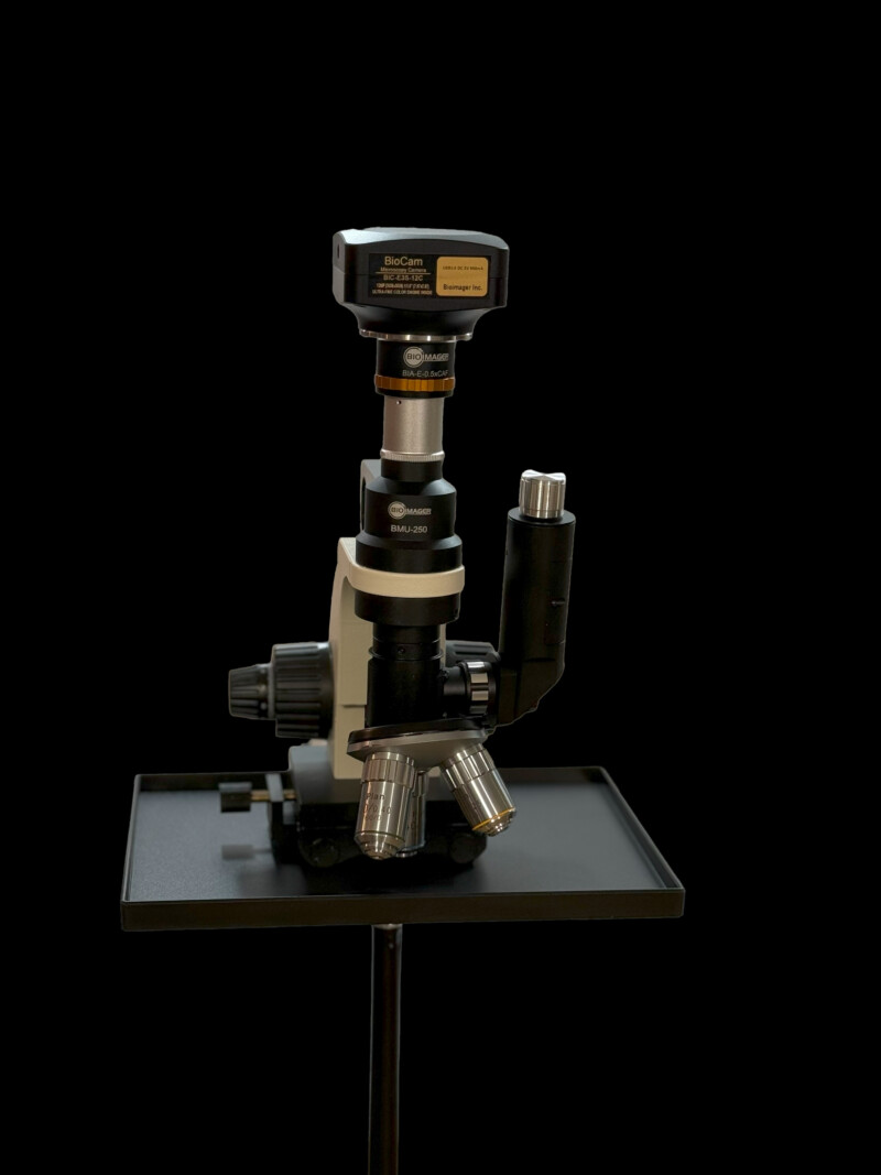 BMU250 Compact Portable Metallurgical Microscope