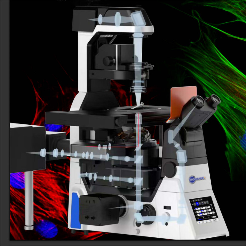 BIM1000A Inverted Advanced Microscope for Research - Image 20