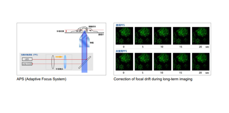 BIM1000A Inverted Advanced Microscope for Research - Image 37