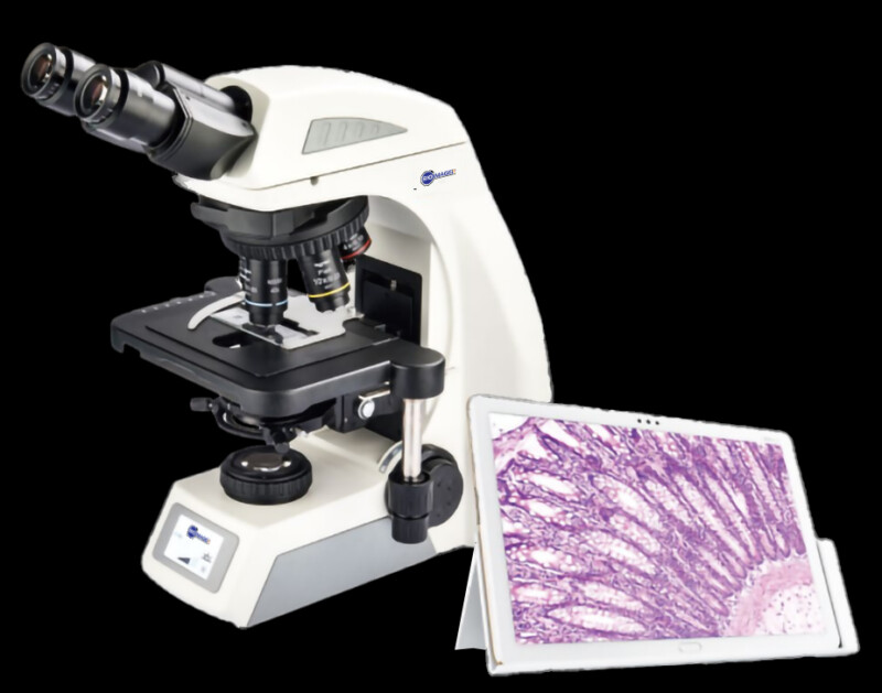 BUM600 Biological microscope - Image 10