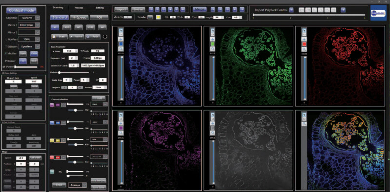 BCF-600 Laser Scanning Confocal Microscope - Image 31