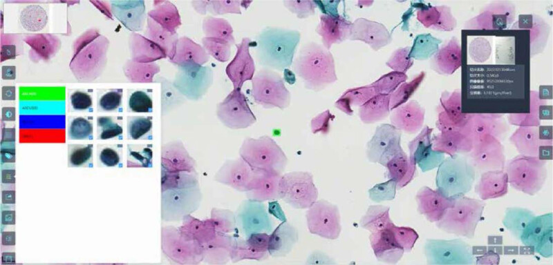 BioScan A200 Digital Pathology Section Scanner - Image 22
