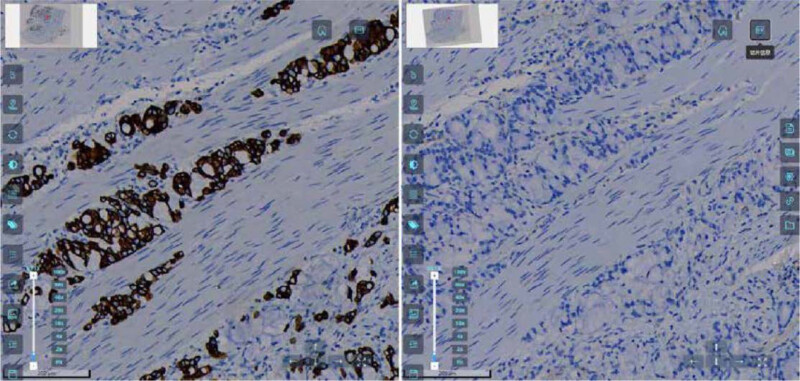 BioScan A200 Digital Pathology Section Scanner - Image 23