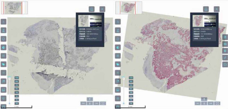 BioScan A200 Digital Pathology Section Scanner - Image 27
