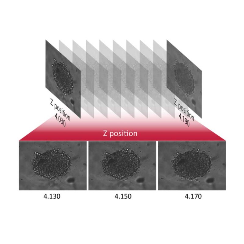 Celloger-Mini-Plus-–-Automated-Live-Cell-Multi-point-imaging