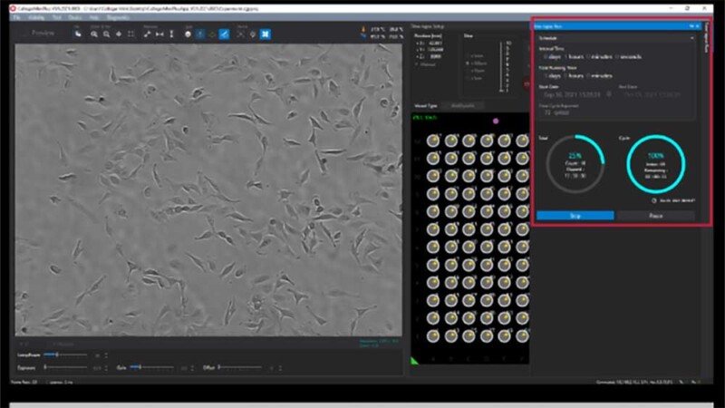 Celloger Mini Plus – Advanced Automated Live Cell Imaging System - Image 17